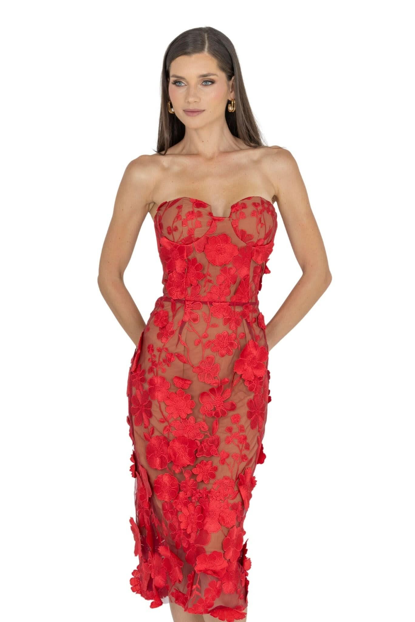 Anni Floral Embroidered Strapless Midi Dress
