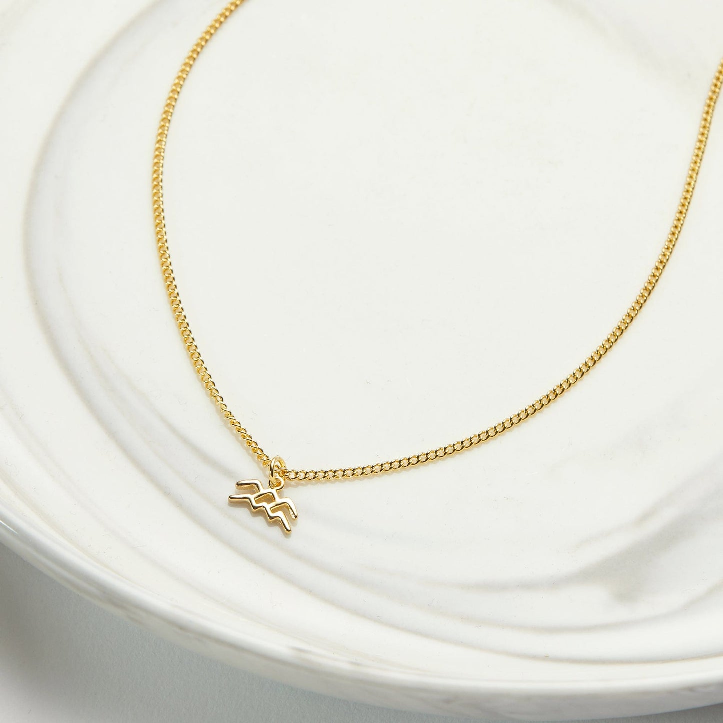 Aquarius Zodiac Deity Necklace