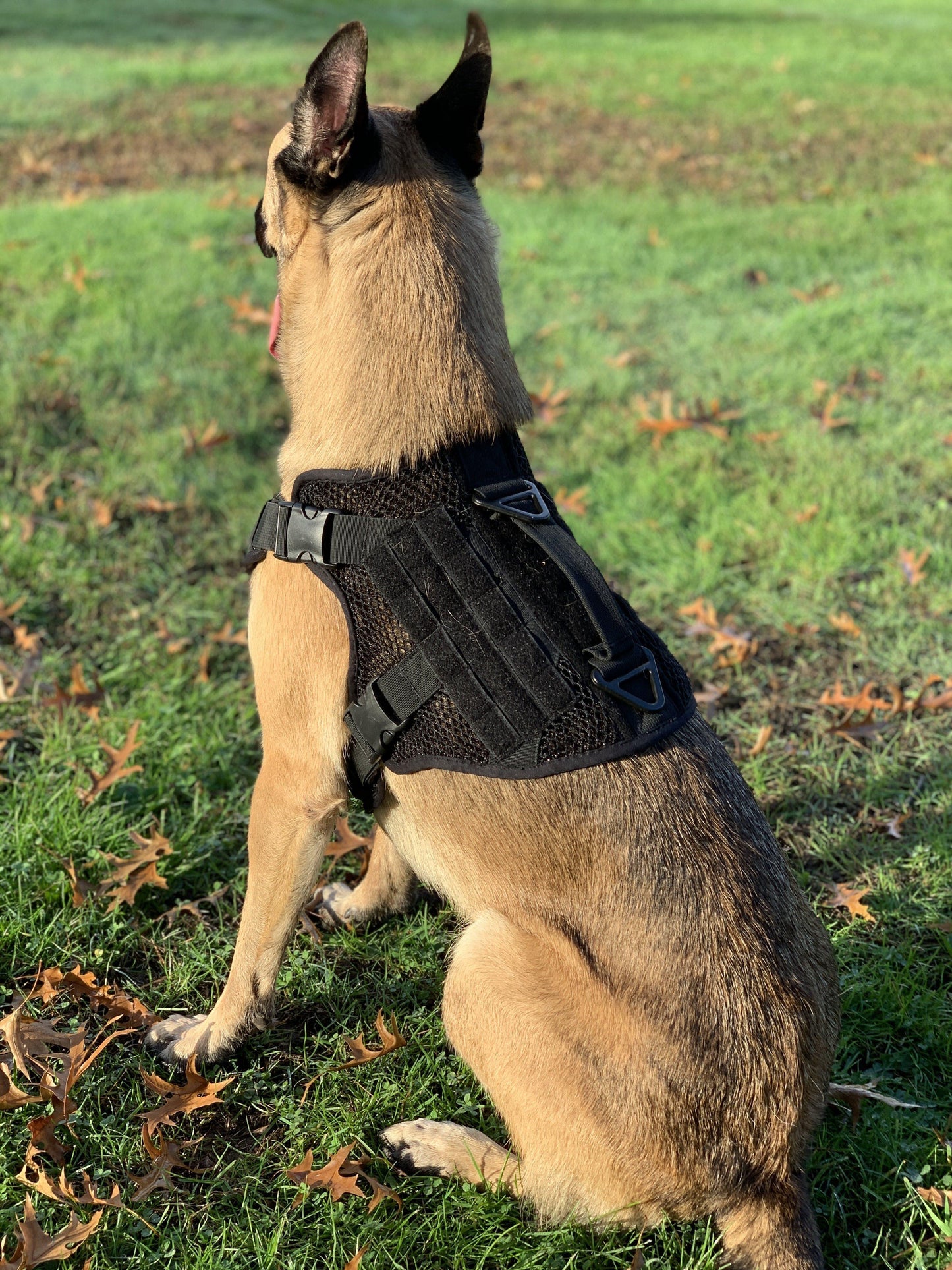 Artemis Dog Harness - No Pull No Tug No Choke Adjustable Breathable K-9