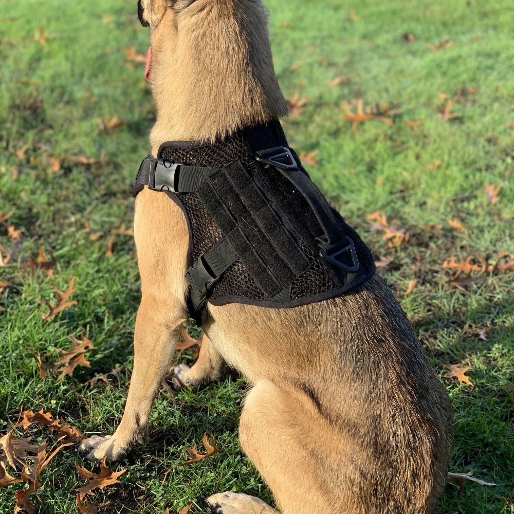 Artemis Dog Harness - No Pull No Tug No Choke Adjustable Breathable K-9