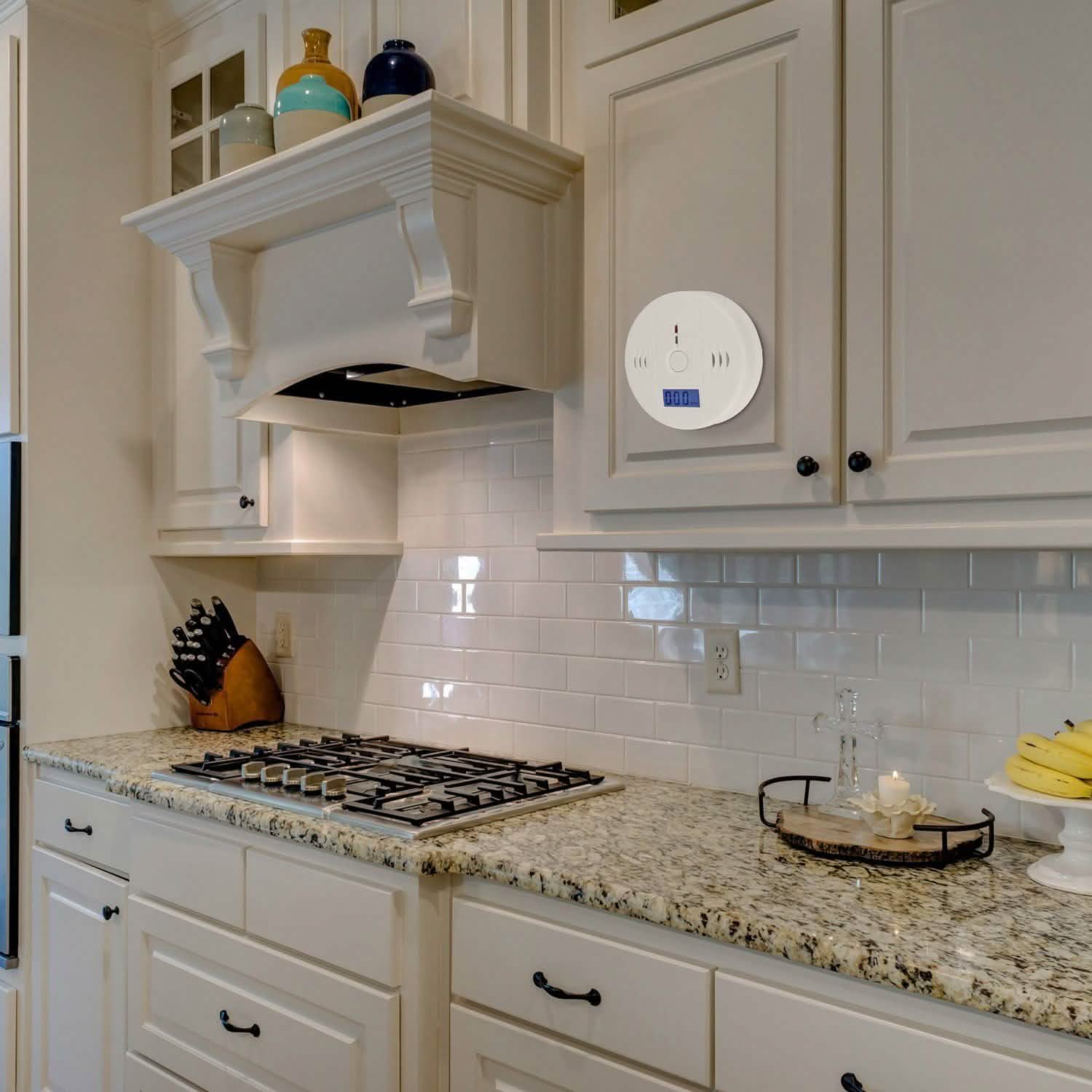 Battery Operated Carbon Monoxide Sensor Alarm