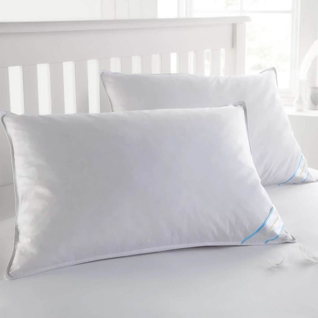 Oreillers en plumes de canard Beauty Sleep, 100 % coton