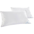 Oreillers en plumes de canard Beauty Sleep, 100 % coton