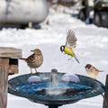 Dégivreur pour bain d'oiseaux d'extérieur, chauffe-eau thermostatique pour l'hiver