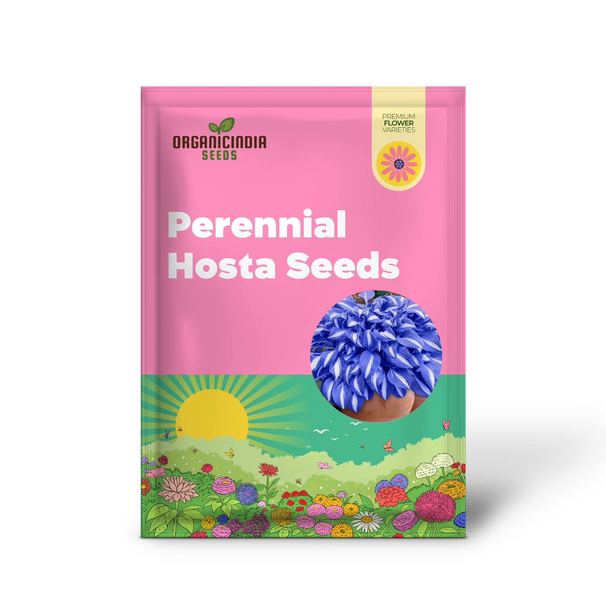 Blue Hosta Plants, Perennial Hosta Seeds for Outdoor Garden Shade, Easy to Grow And Plant