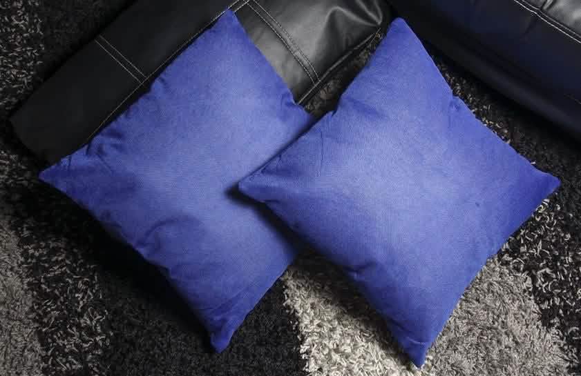 2-Pack: Blue Throw Pillows
