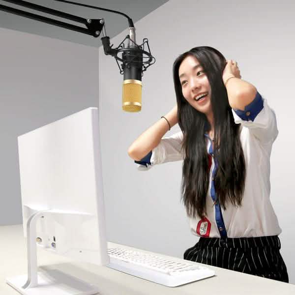 BM800プロフェッショナルコンデンサーマイク