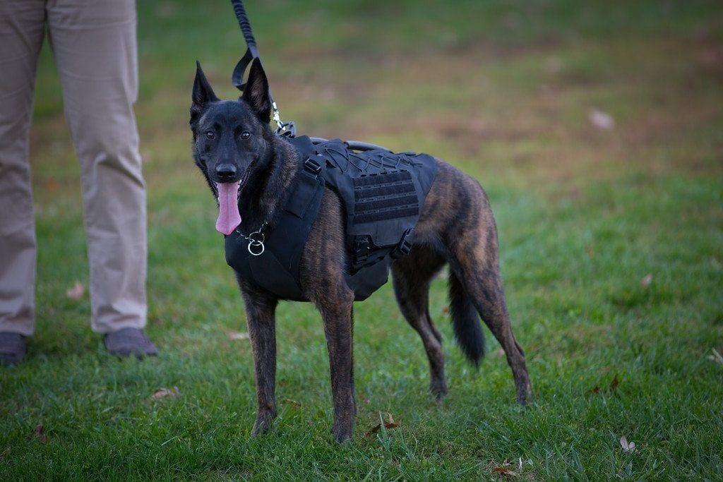 Bulletproof Vests for Dogs - Breathable Bulletproof K-9 Harness