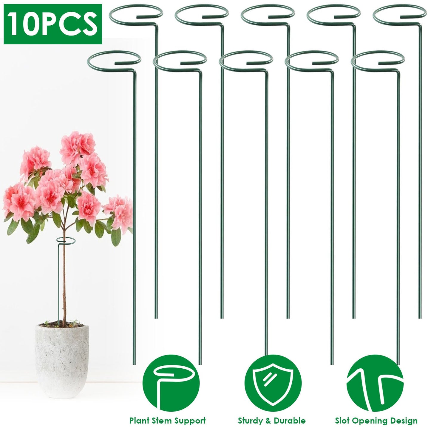 Garden Plant Support Stakes for Single Stem