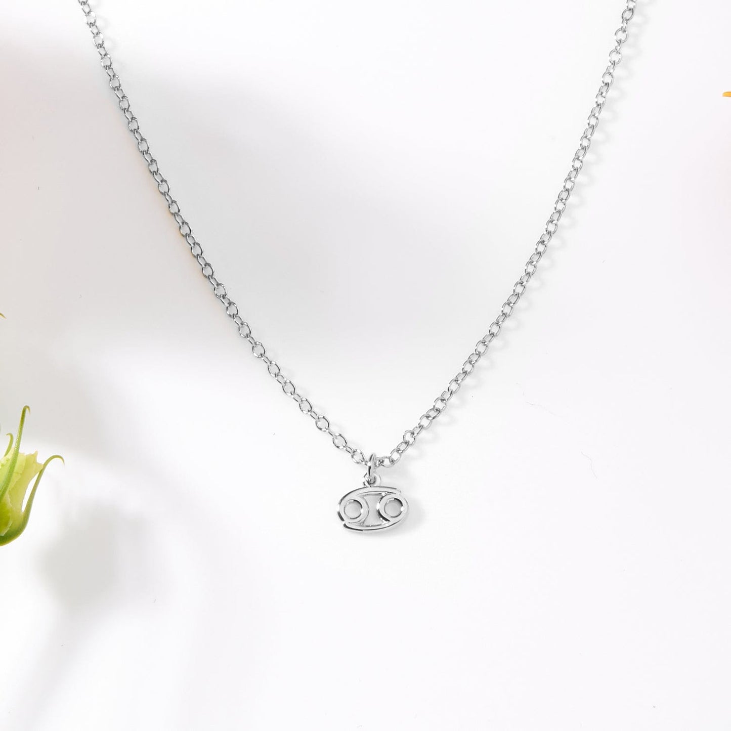 Cancer Zodiac Gift Necklace