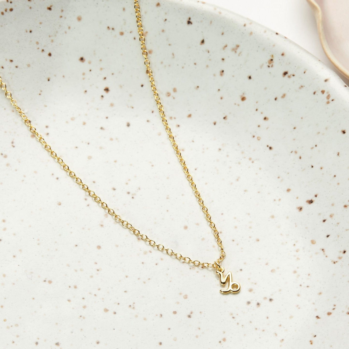 Capricorn Zodiac Gift Necklace