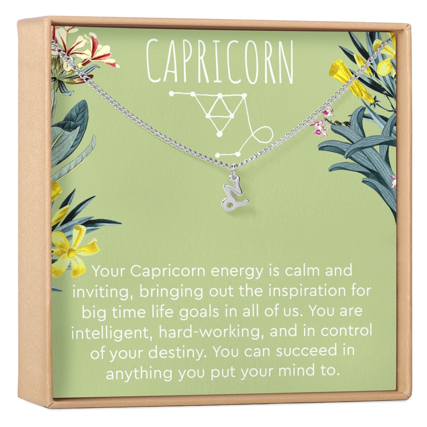 Capricorn Zodiac Gift Necklace