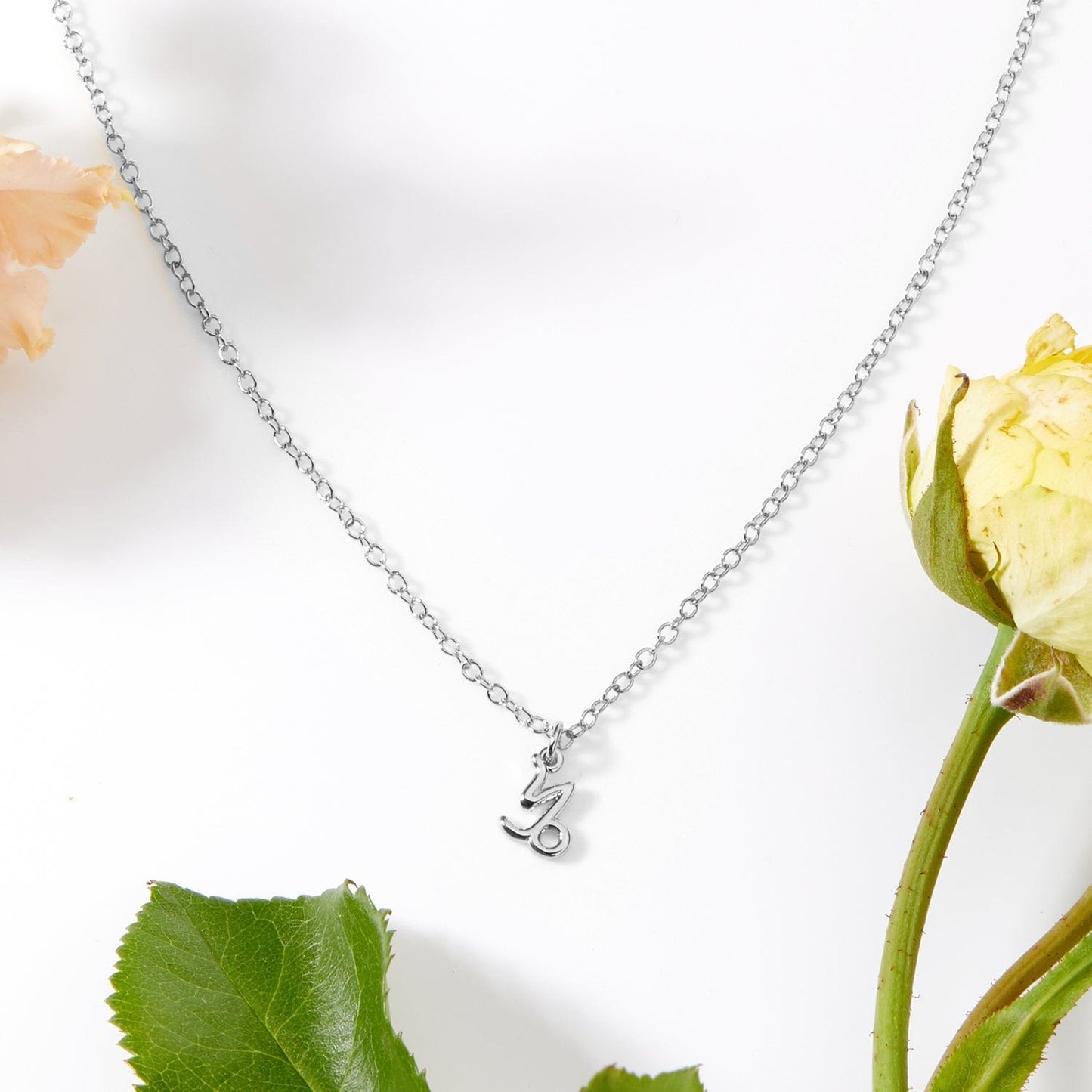 Capricorn Zodiac Gift Necklace