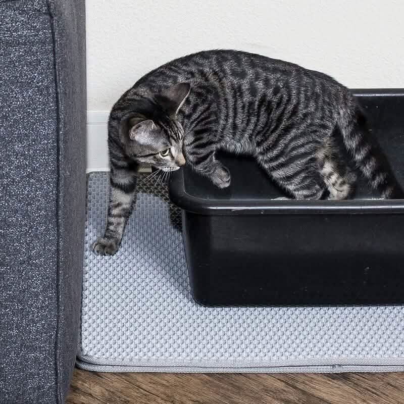 猫とウサギ用 トイレトラップマット