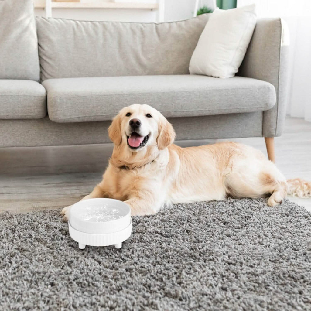 Gamelle chauffante en céramique pour animaux de compagnie