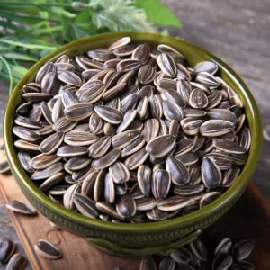 Cherry Chocolate Sunflower Seeds – Vibrant Garden Blooms