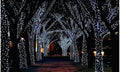 Solar-Powered 100 LED Fairy Light String - Assorted Colors