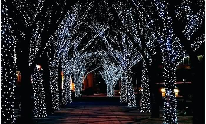 Solar-Powered 100 LED Fairy Light String - Assorted Colors