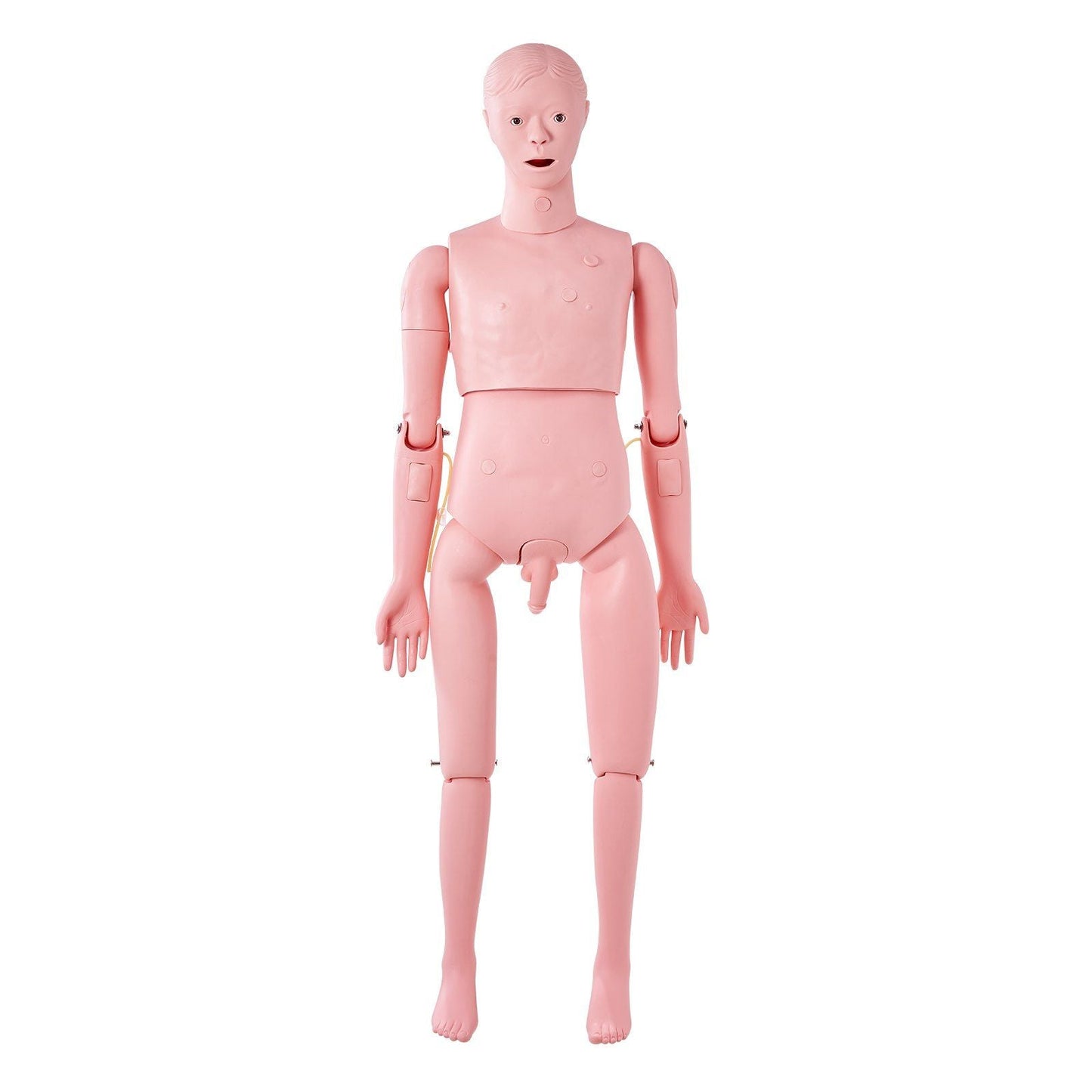 Nursing Training Manikin, Male Life Size Demonstration Human Manikin for Nursing Training, Multifunctional Education Teaching Model Supplies, PVC Anatomical Mannequin Body Care Simulator Model