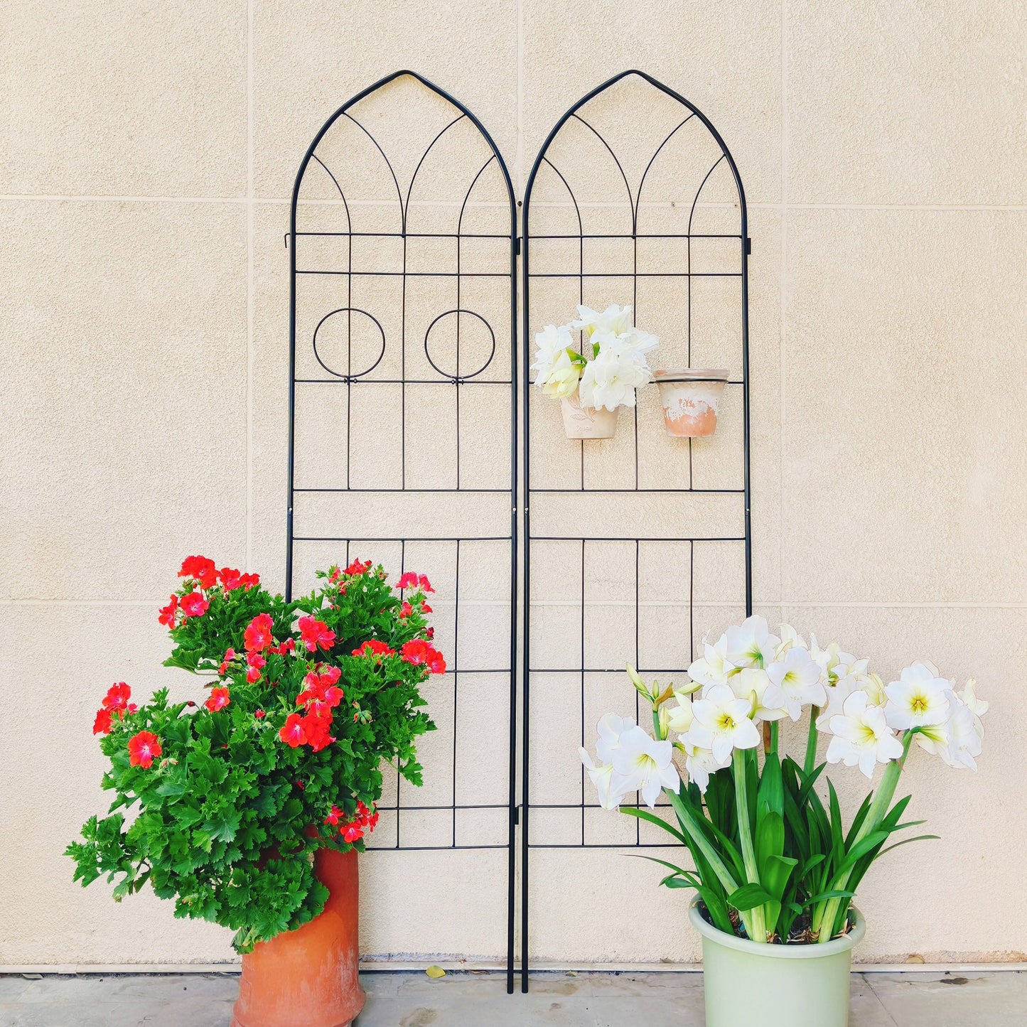 2 Pack Metal Garden Trellis