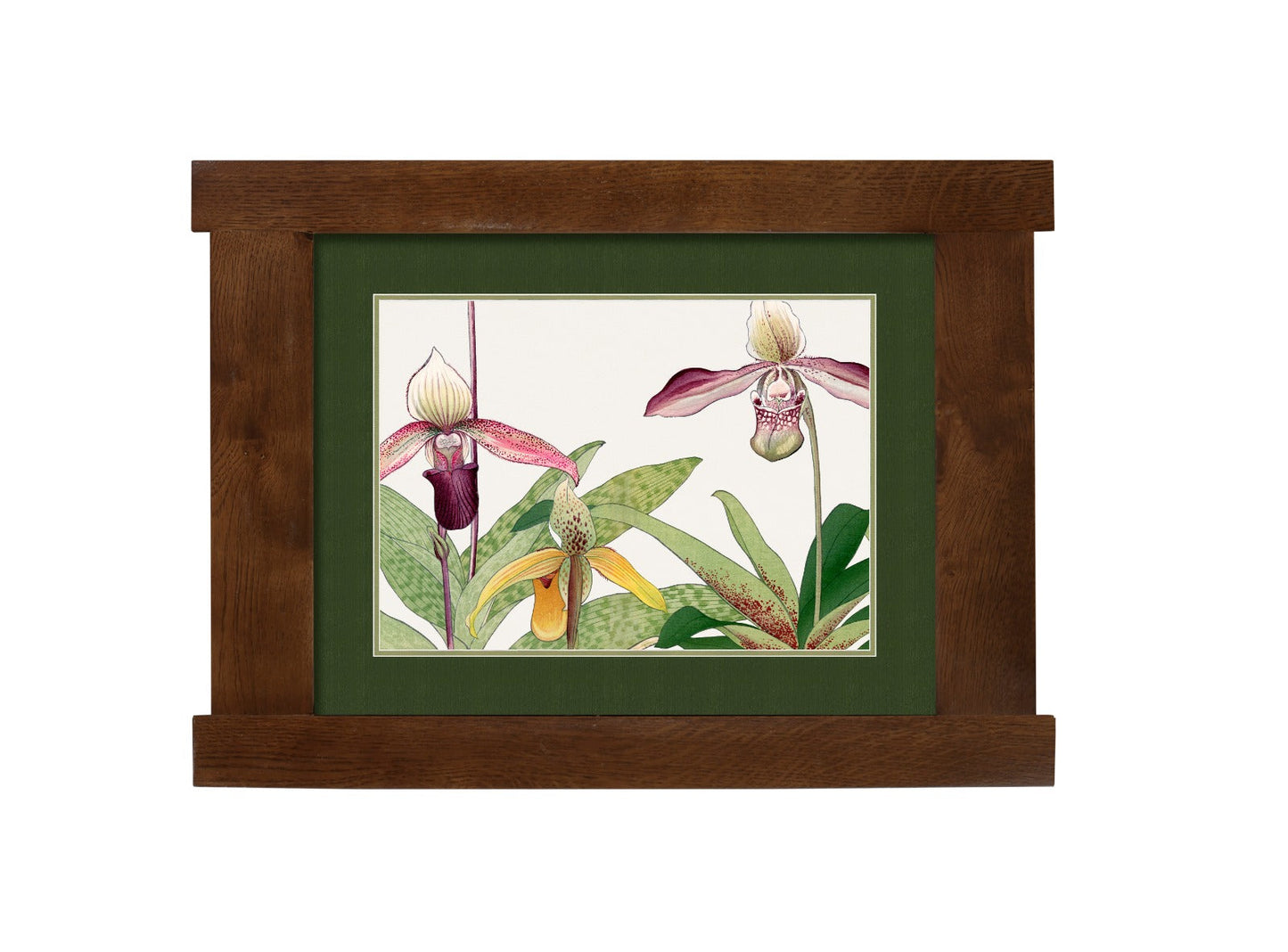 Arts & Crafts Mission Oak Framed Art with Tropical Bloom Walnut finish