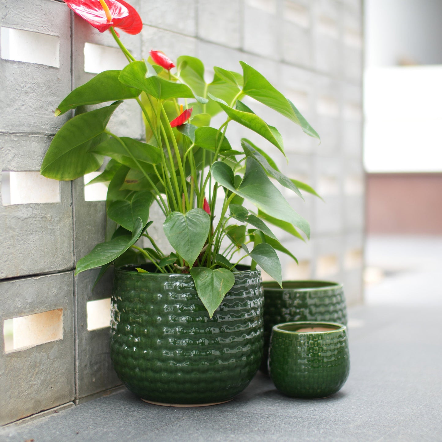 Handmade Glazed Ceramic Planter Set of 3