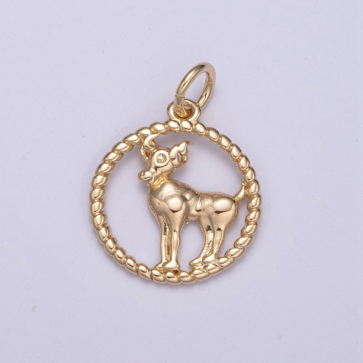Dainty 18K Gold Filled Zodiac Horoscope Open Rope Edge Coin Charm | A-A1863-A-A1868