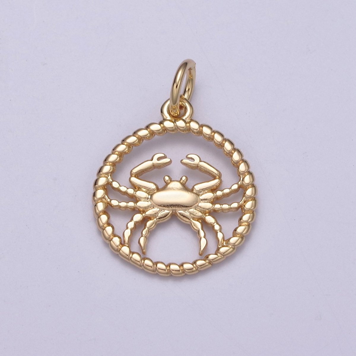Dainty 18K Gold Filled Zodiac Horoscope Open Rope Edge Coin Charm | A-A1863-A-A1868