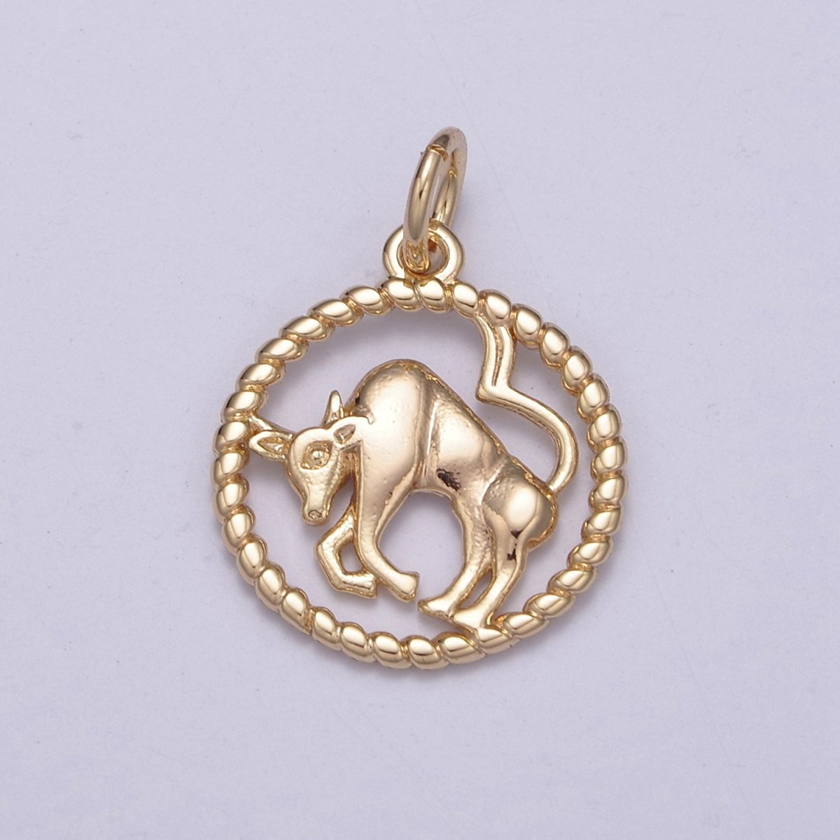 Dainty 18K Gold Filled Zodiac Horoscope Open Rope Edge Coin Charm | A-A1863-A-A1868
