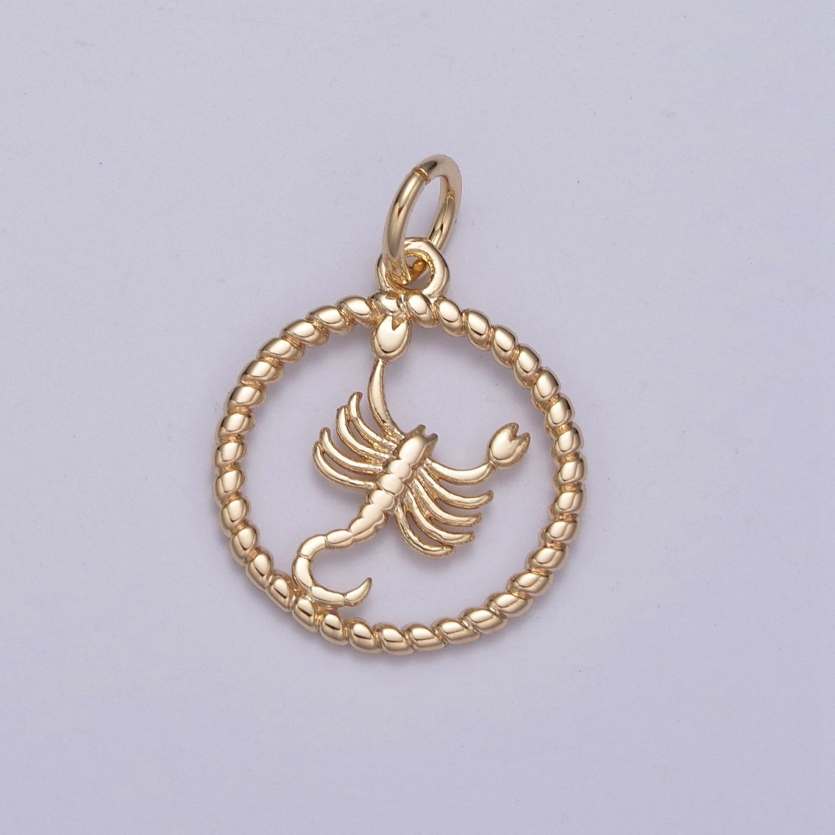 Dainty 18K Gold Filled Zodiac Horoscope Open Rope Edge Coin Charm | A-A1863-A-A1868