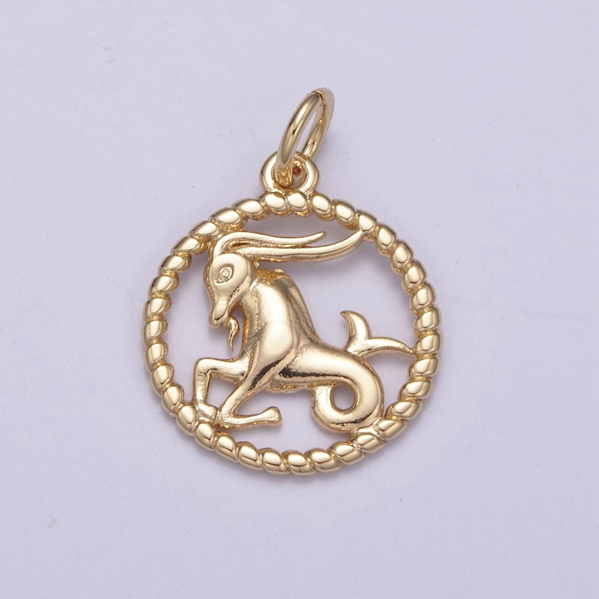 Dainty 18K Gold Filled Zodiac Horoscope Open Rope Edge Coin Charm | A-A1863-A-A1868