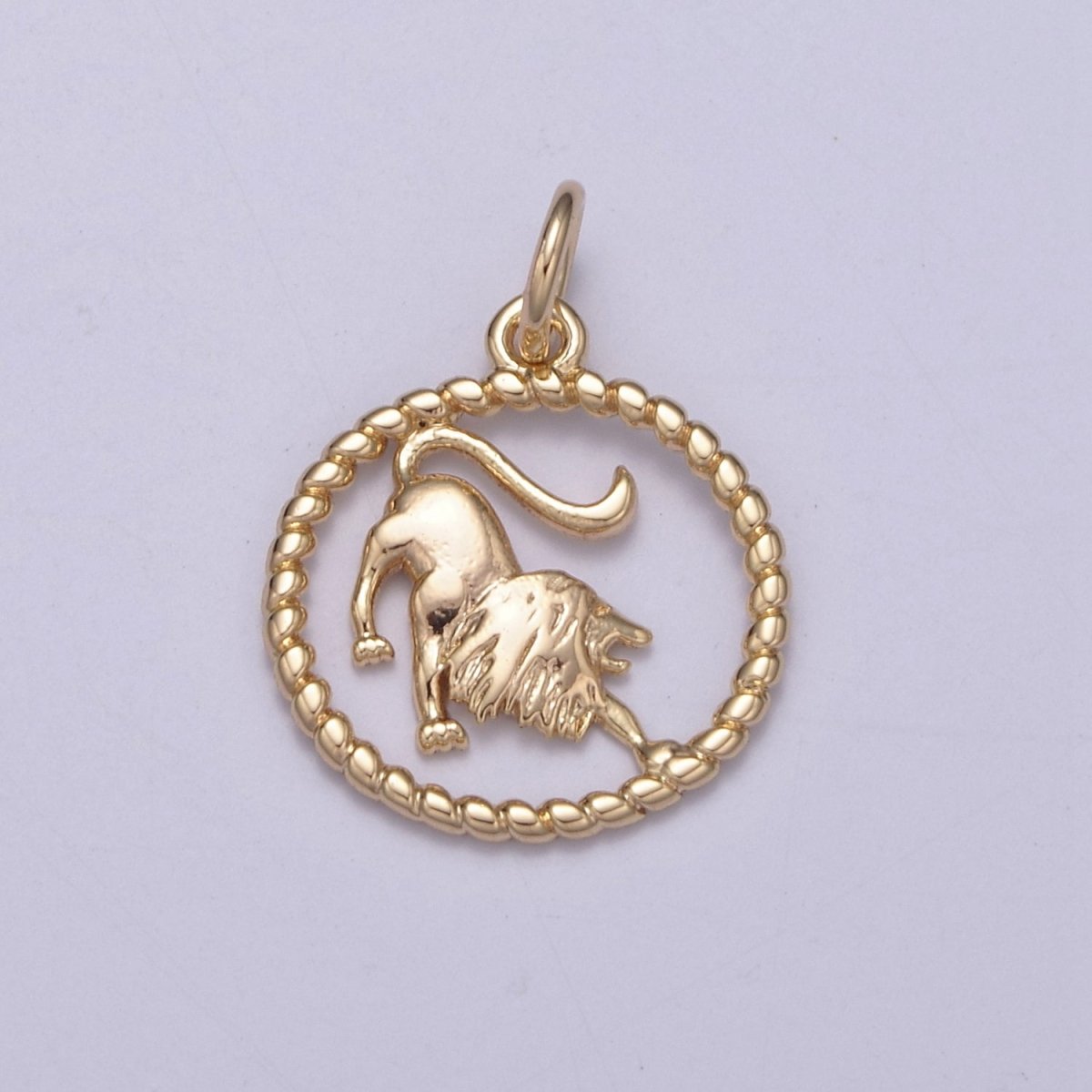 Dainty 18K Gold Filled Zodiac Horoscope Open Rope Edge Coin Charm | A-A1863-A-A1868