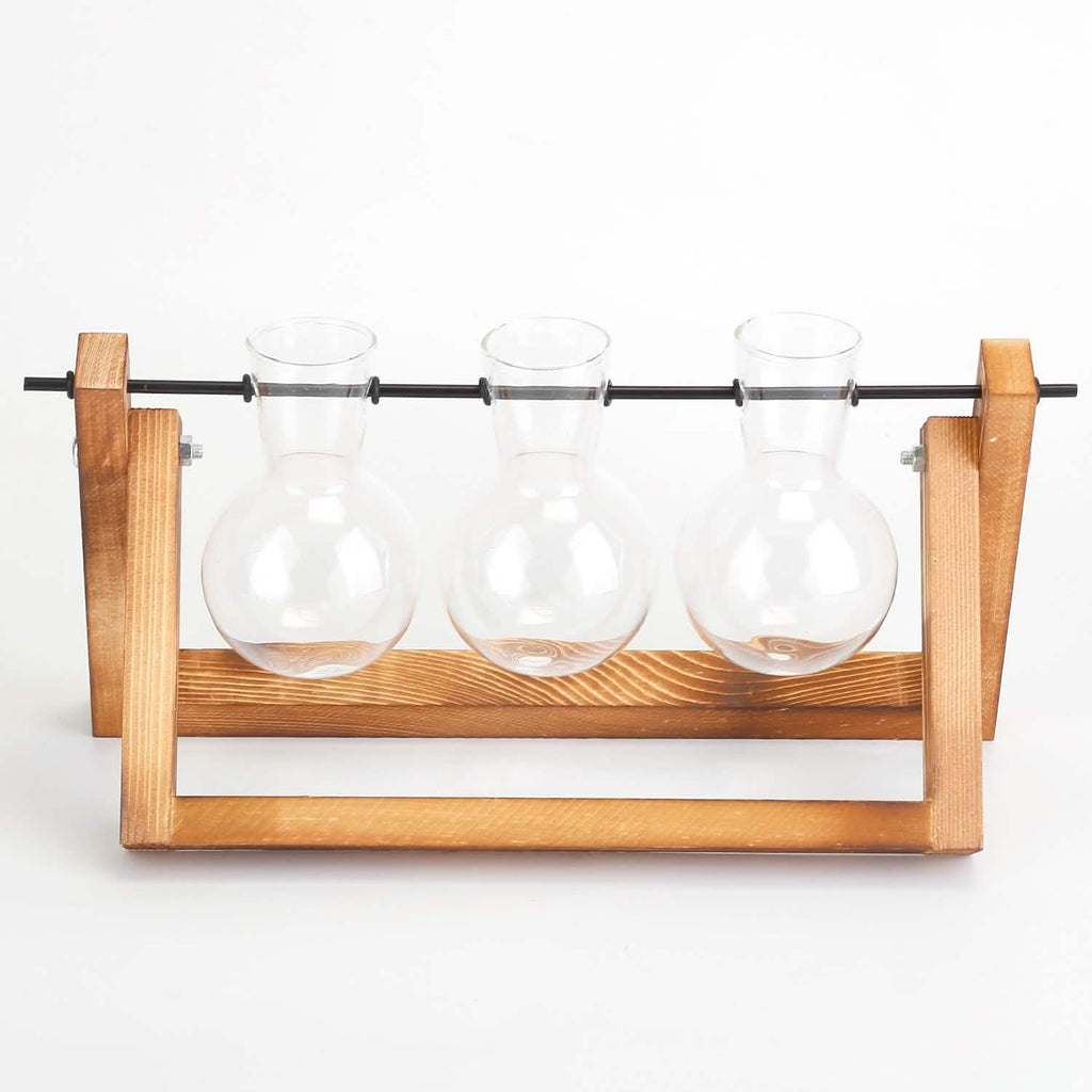 Desktop Glass Bulb Planter