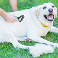 犬猫用両面グルーミングレーキ