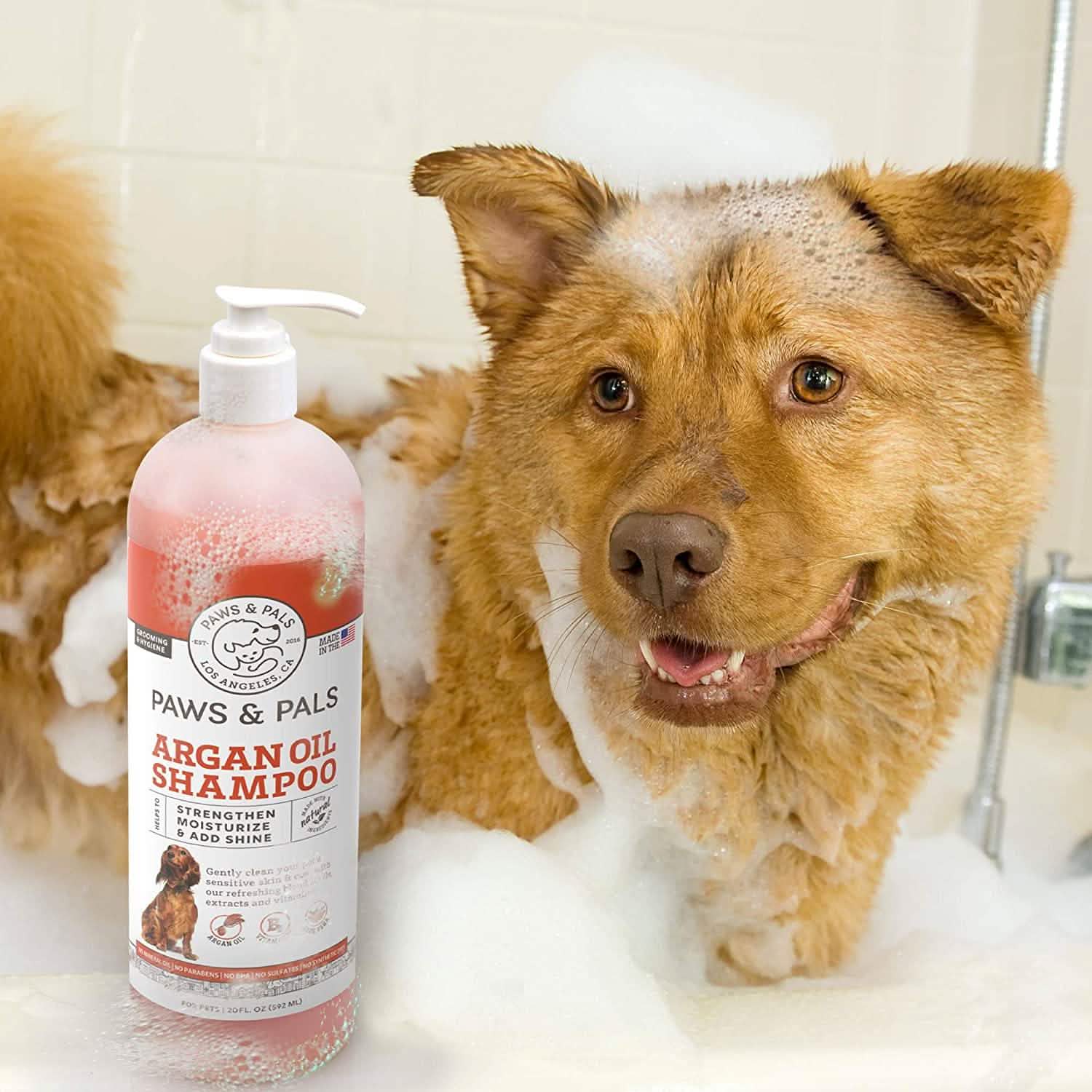 Shampoing-Revitalisant pour Chien à l'Argan – Formule Vétérinaire Clinique de 591 ml