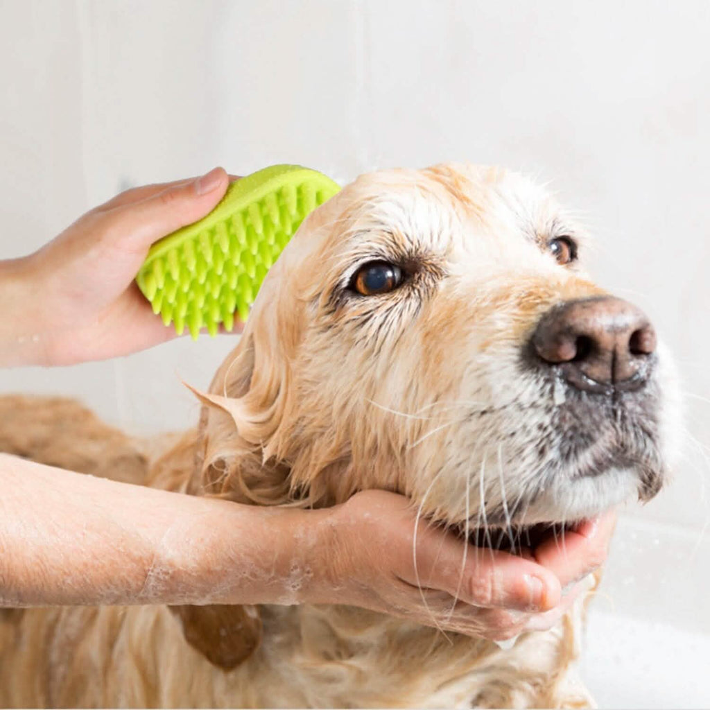 Brosse de bain pour chien antidérapante, peigne de massage en silicone pour le toilettage et la douche des animaux