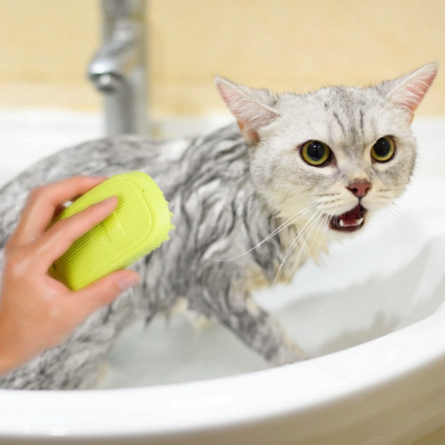 Brosse de bain pour chien antidérapante, peigne de massage en silicone pour le toilettage et la douche des animaux
