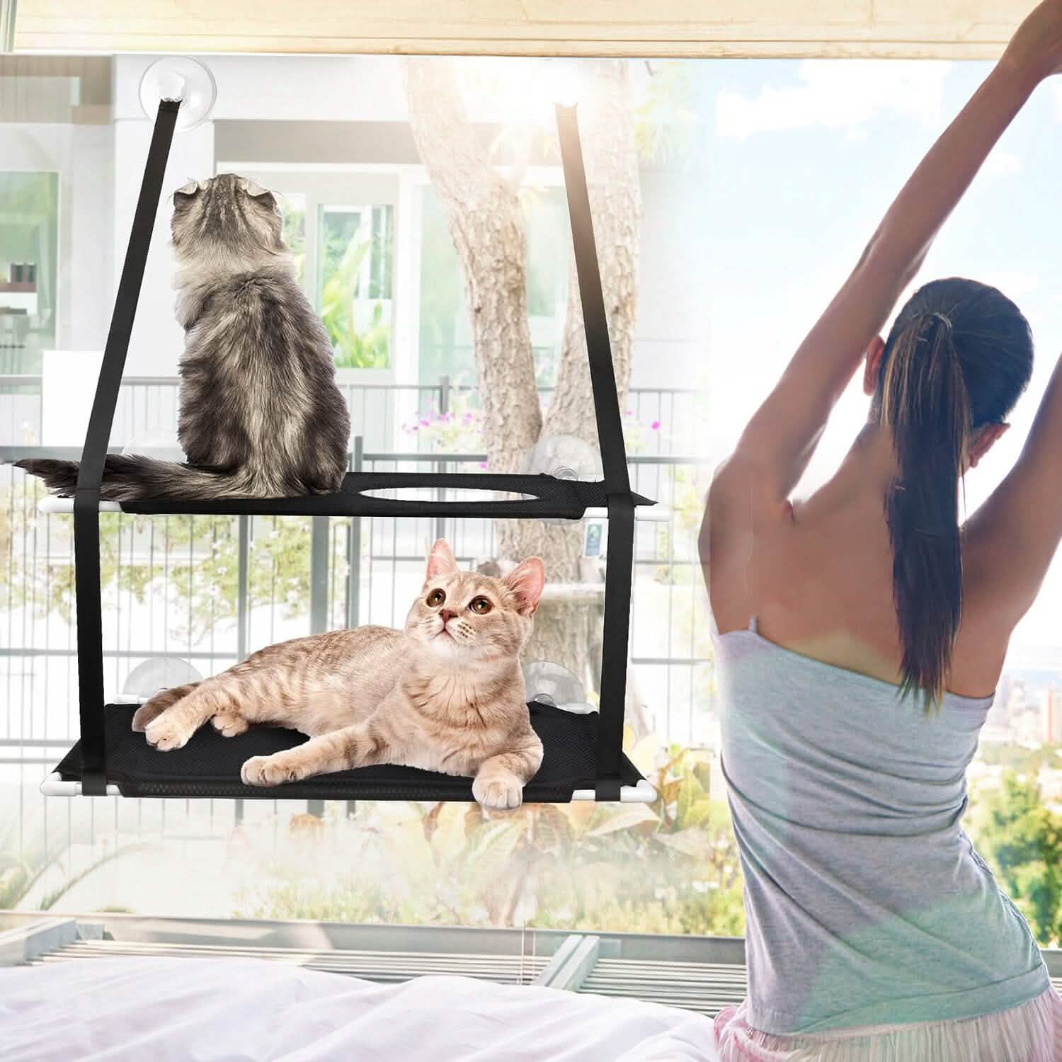 Double Layer Perch Bed Powerful Suction Indoor Window Hammock for Cat