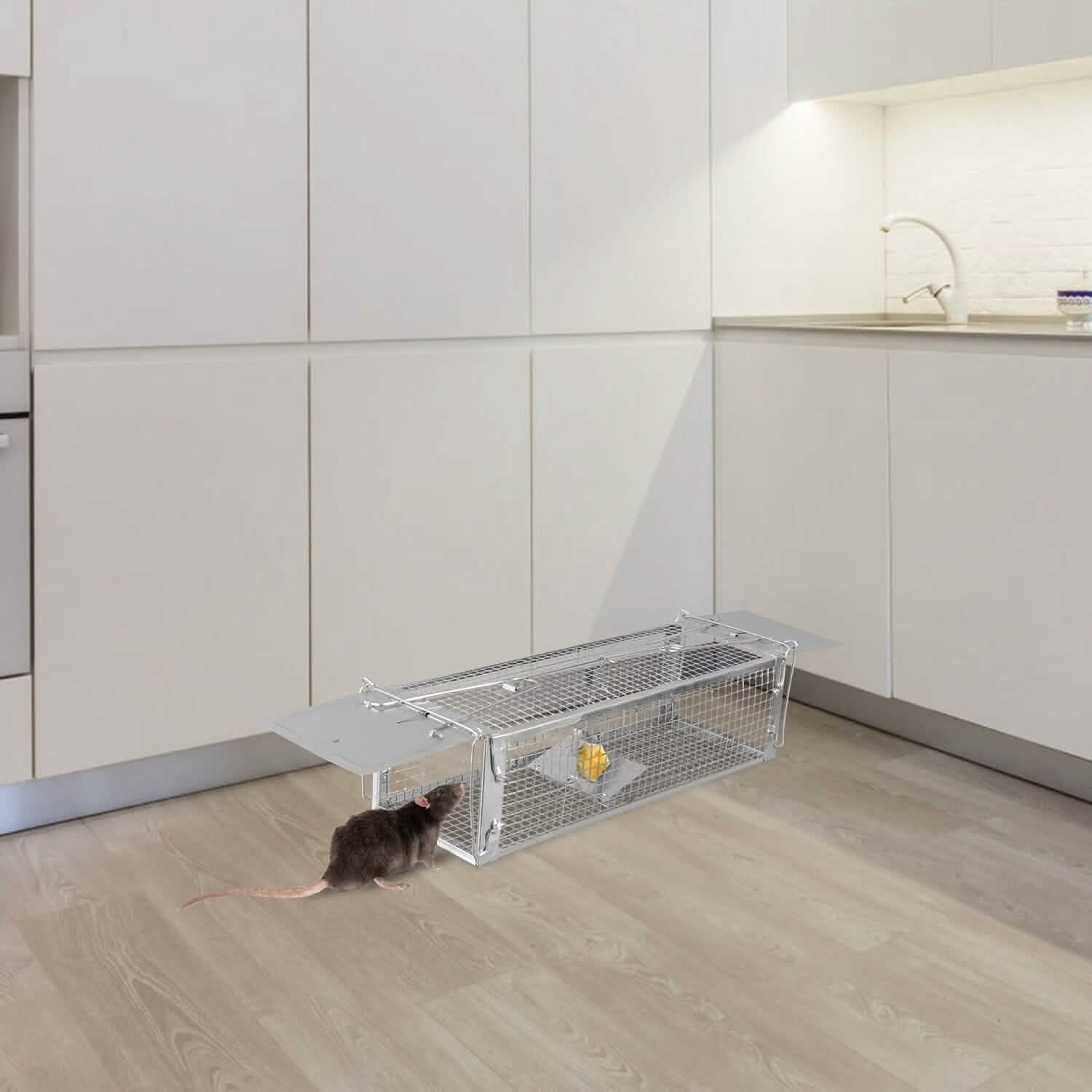 Dual Door Rat Trap Cage Humane with 2 Detachable U Shape Rod