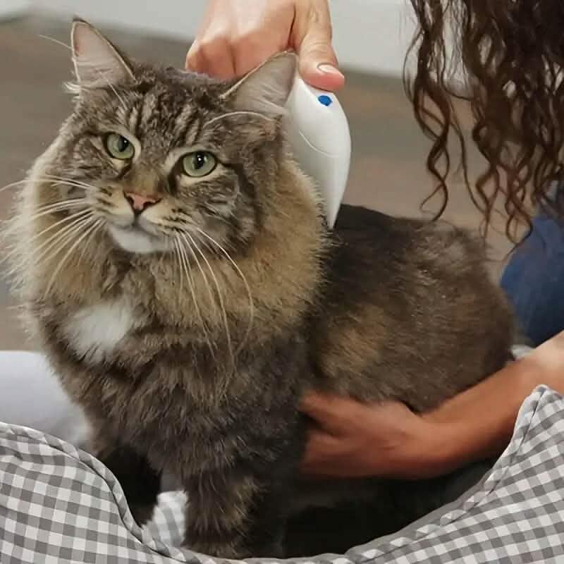猫・犬用電動ノミ取りコーム