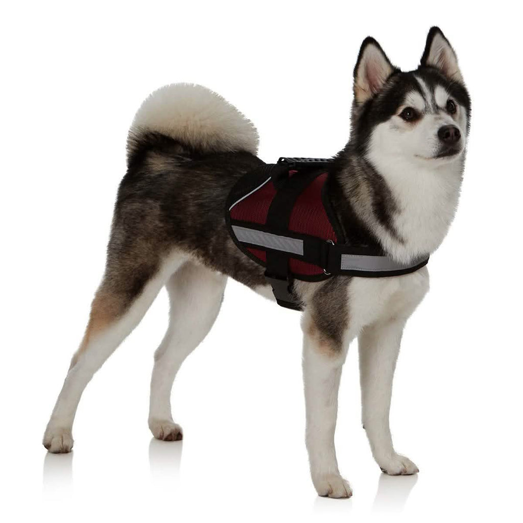 Ez-Pet ベストカラー ソフト調節可能ハーネス