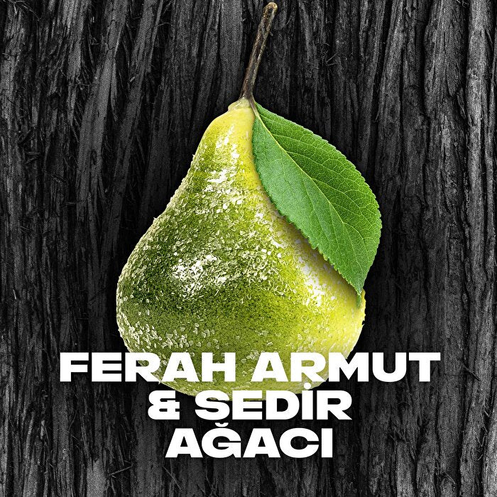 Axe Black Roll On Deodorant - 48 Hour Protection | 1.7oz