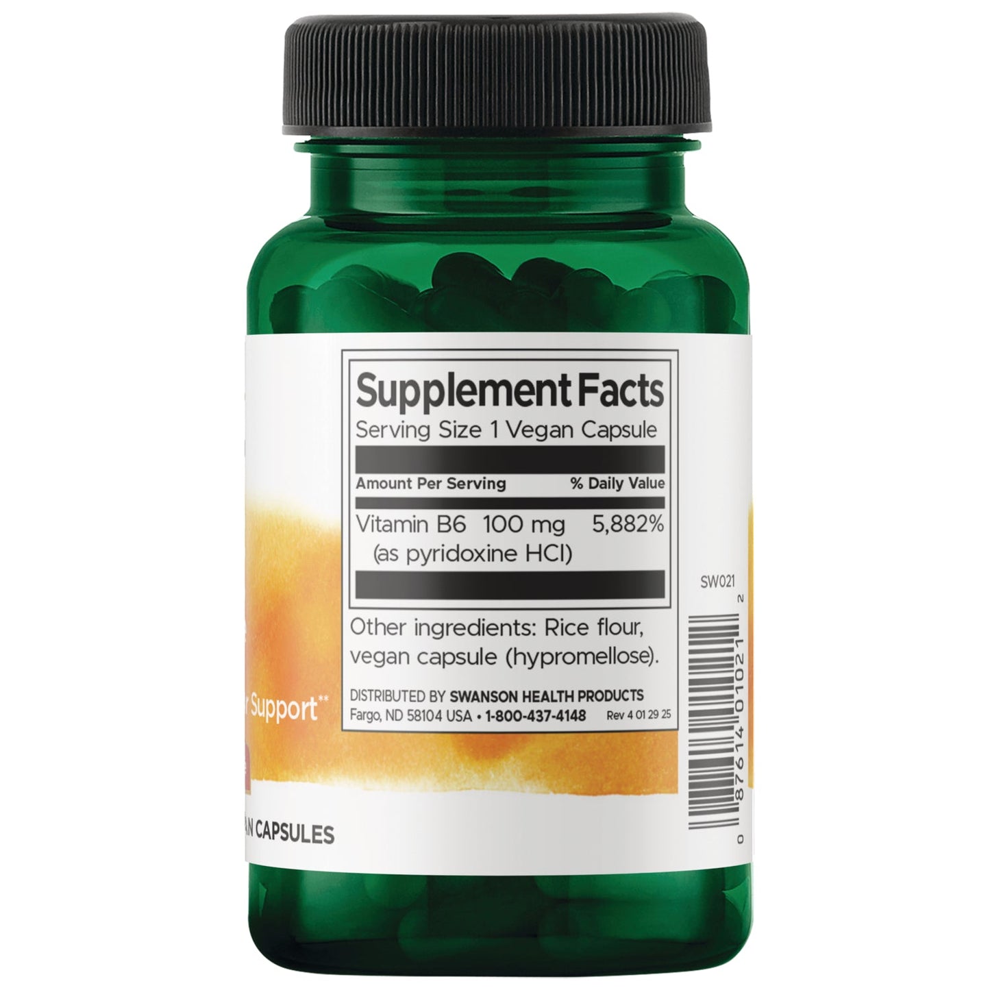 Vitamin B6 Pyridoxine