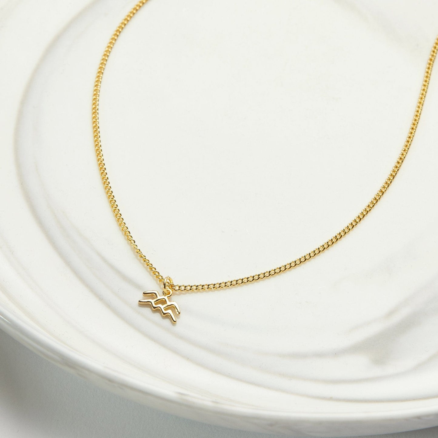 February 9th Aquarius Necklace