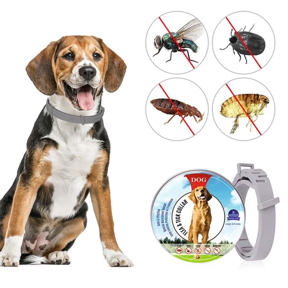 Collier Anti-Puces pour Chiens, Prévention Anti-Puces et Tiques de 8 Mois pour Chiens de 3 Mois et Plus