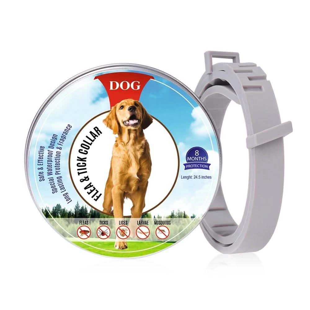 Collier Anti-Puces pour Chiens, Prévention Anti-Puces et Tiques de 8 Mois pour Chiens de 3 Mois et Plus