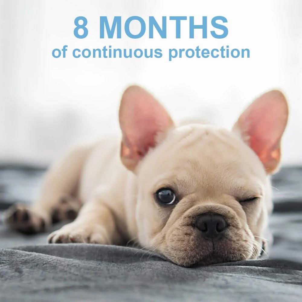 Collier Anti-Puces pour Chiens, Prévention Anti-Puces et Tiques de 8 Mois pour Chiens de 3 Mois et Plus