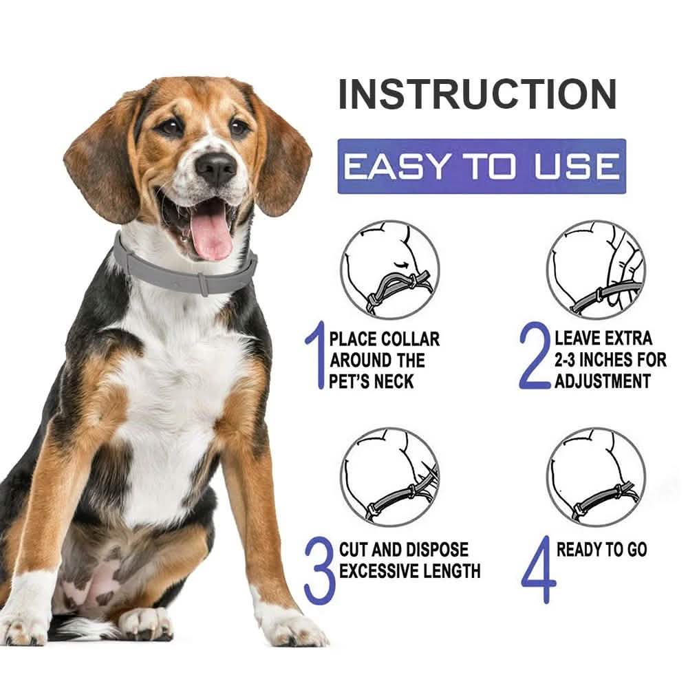 Collier Anti-Puces pour Chiens, Prévention Anti-Puces et Tiques de 8 Mois pour Chiens de 3 Mois et Plus
