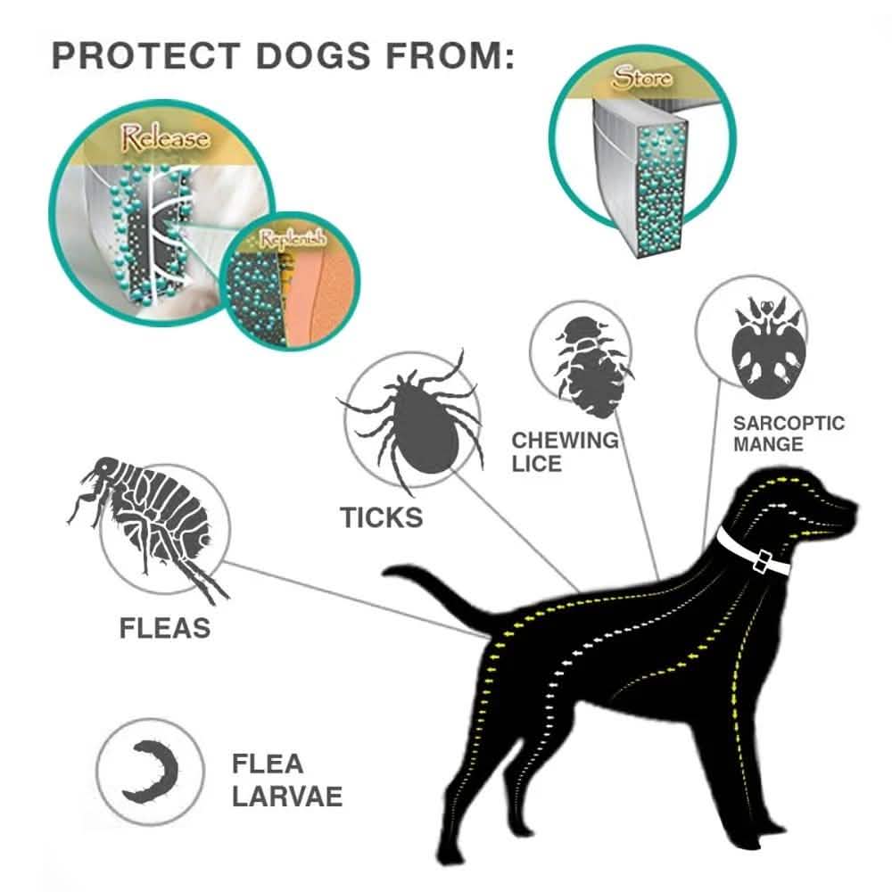 Collier Anti-Puces pour Chiens, Prévention Anti-Puces et Tiques de 8 Mois pour Chiens de 3 Mois et Plus