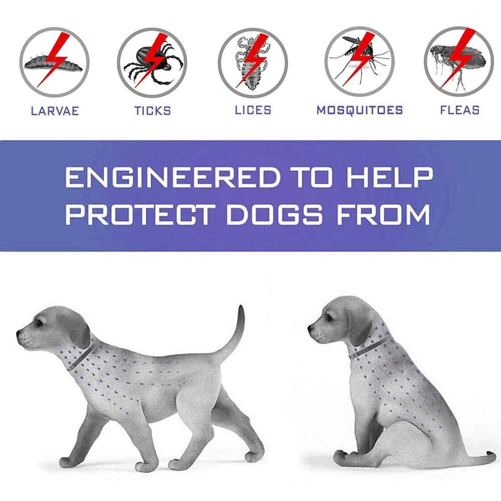 Collier Anti-Puces pour Chiens, Prévention Anti-Puces et Tiques de 8 Mois pour Chiens de 3 Mois et Plus